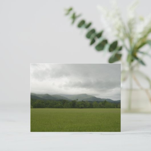 Cades Cove, Great Smoky Mountains NP, TN Postkarte (Stehend Vorderseite)
