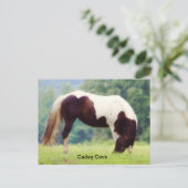 Cades Cove Postcard Postkarte (Stehend Vorderseite)