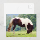 Cades Cove Postcard Postkarte (Vorne/Hinten)