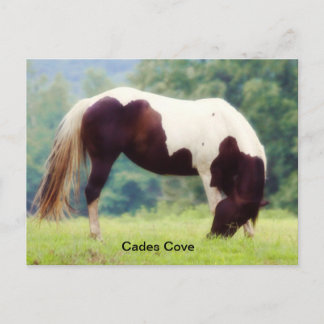 Cades Cove Postcard Postkarte