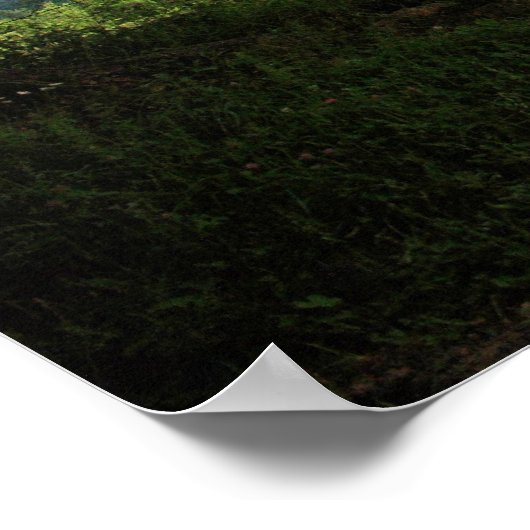 Cade's Cove Poster (Ecke)