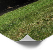 Cade's Cove Poster (Ecke)