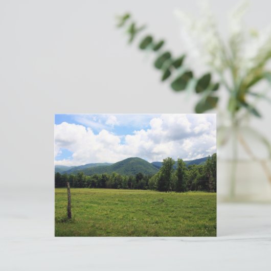 Cade's Cove Postkarte (Stehend Vorderseite)