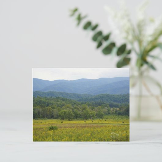 Cades Cove Postkarte (Stehend Vorderseite)