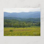 Cades Cove Postkarte (Vorderseite)