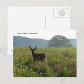 Cades Cove, Tennessee Postkarte (Vorne/Hinten)