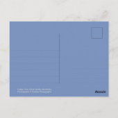 Cades Cove Wildlife - Great Smoky Mountains Postkarte (Rückseite)