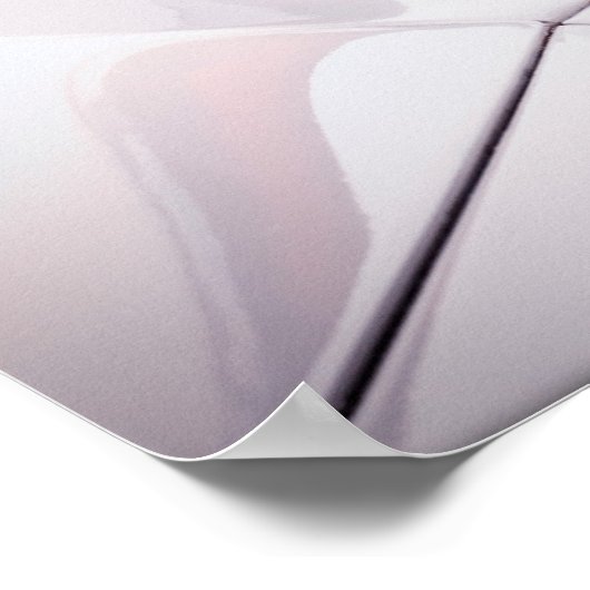 Cadillac Curves 1960 Poster (Ecke)