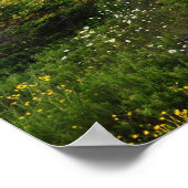 Cadillac Mountain Acadia Nationalpark Poster (Ecke)