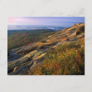 Cadillac Mountain Acadia Nationalpark Postkarte