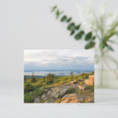 Cadillac Parco delle camelie Locarno Postkarte (Stehend Vorderseite)