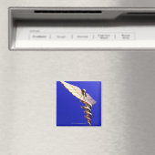 Caduceus, Computergrafik. Der Caduceus ist ein Magnet (In Situ (Geschirrspüler))