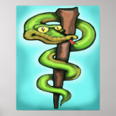 Caduceus Poster (Vorne)