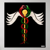 Caduceus Poster (Vorne)