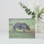 CAE5ULC1 POSTKARTE (Stehend Vorderseite)