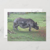 CAE5ULC1 POSTKARTE (Vorne/Hinten)