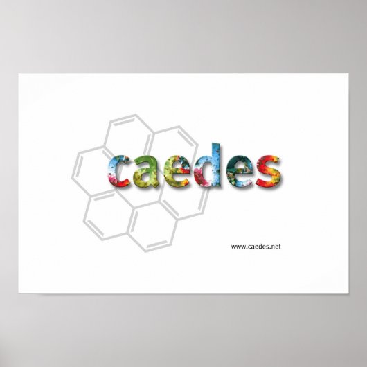 Caedes.net Logo Poster (Vorne)