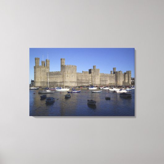 Caernarfon Castle, Gwynedd, Wales (RF) Leinwanddruck (Vorderseite)
