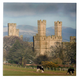 Caernarfon Castle Wales Fliese