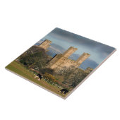 Caernarfon Castle Wales Fliese (Seite)