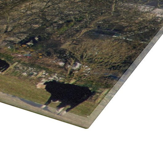 Caernarfon Castle Wales Schneidebrett (Ecke)