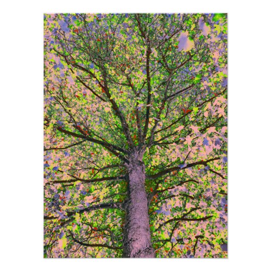 Caesar Salad 15 Fotodruck (Vorne)