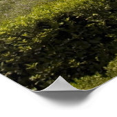 Caesars Palace 2007 Foto Poster (Ecke)