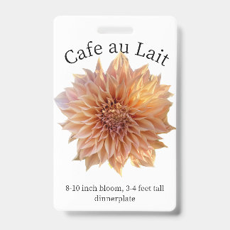 Cafe au Lait Dahlia ID Abzeichen Ausweis