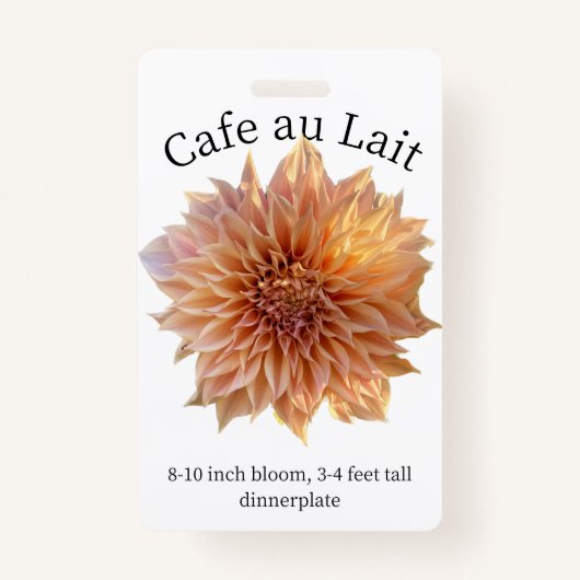 Cafe au Lait Dahlia ID Abzeichen Ausweis (Vorderseite)