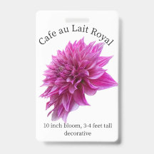 Cafe au Lait Royal Dahlia ID Abzeichen