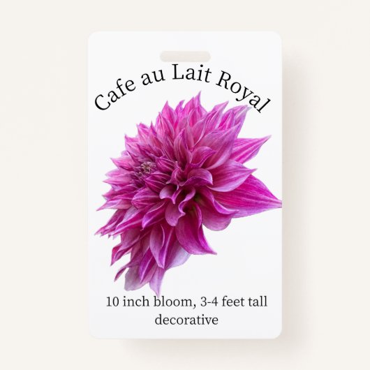 Cafe au Lait Royal Dahlia ID Abzeichen Ausweis (Vorderseite)