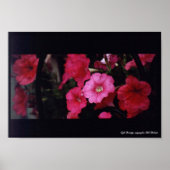 Cafe Beauty Poster (Vorne)