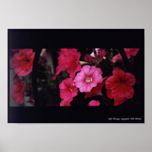 Cafe Beauty Poster (Vorne)