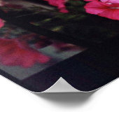 Cafe Beauty Poster (Ecke)