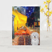 Cafe - Coton de Tulear 4b Karte (Gelbe Blume)