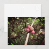 Café des Postleitzahlenviertels Postkarte (Vorne/Hinten)