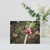 Café des Postleitzahlenviertels Postkarte (Stehend Vorderseite)