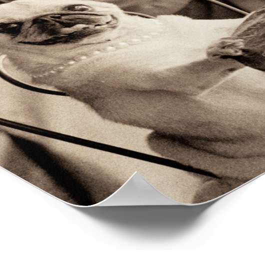 Café Mops Poster (Ecke)