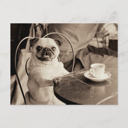 Café Mops Postkarte (Vorderseite)