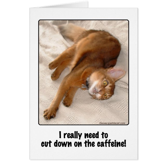 Caffeinated Katzen-Karte (Vorne)