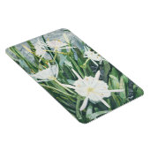 Cahaba Lilies Magnet (Rechte Seite)