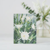 Cahaba Lilies Postcard Postkarte (Stehend Vorderseite)