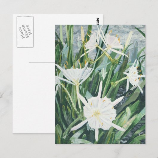 Cahaba Lilies Postcard Postkarte (Vorne/Hinten)
