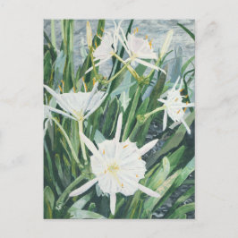 Cahaba Lilies Postcard Postkarte