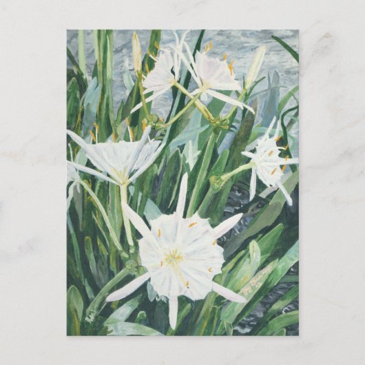 Cahaba Lilies Postcard Postkarte (Vorderseite)