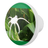 Cahaba Lilly blühen auf Knochen und Keramiken Keramikknauf (Rechts)