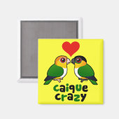 Caique Crazy Magnet (Vorderseite/Rückseite)