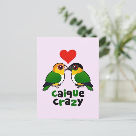 Caique Crazy Postkarte (Stehend Vorderseite)