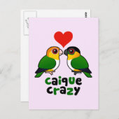 Caique Crazy Postkarte (Vorne/Hinten)