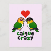 Caique Crazy Postkarte (Vorderseite)